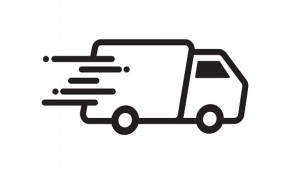 fast delivery